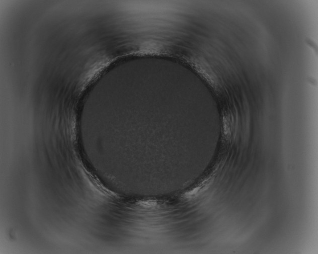 X0000093370588200710191117