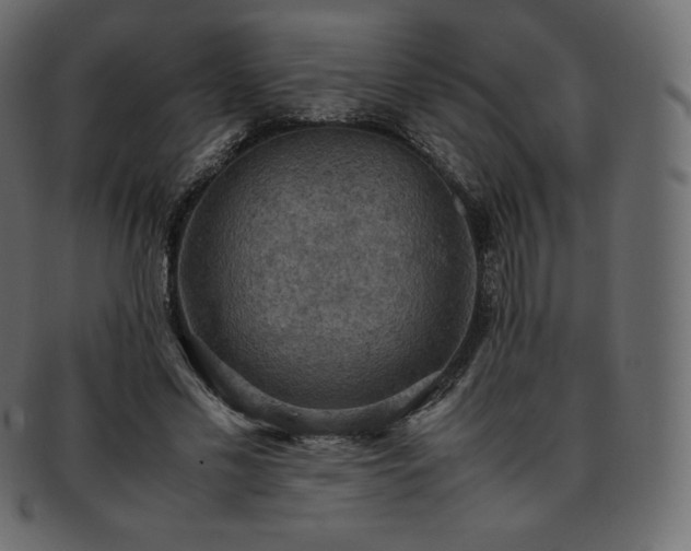 X0000093370589200710191117