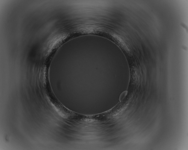 X0000093370590200710191117