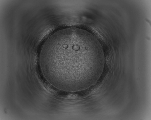 X0000093370591200710191117