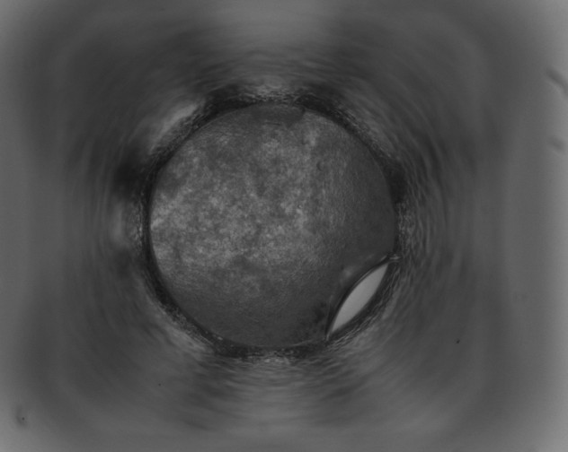 X0000093370593200710191117