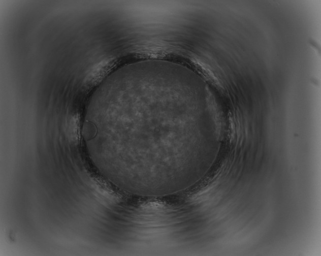 X0000093370594200710191117