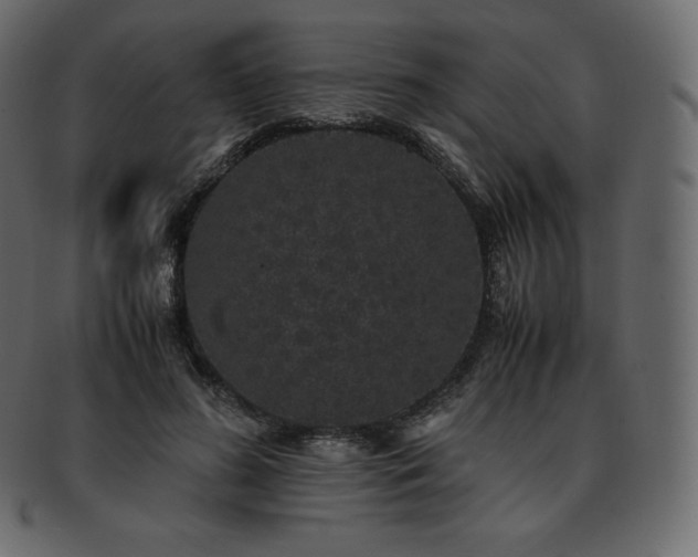 X0000093370596200710191117