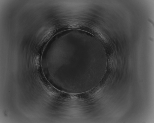 X0000093370598200710191117