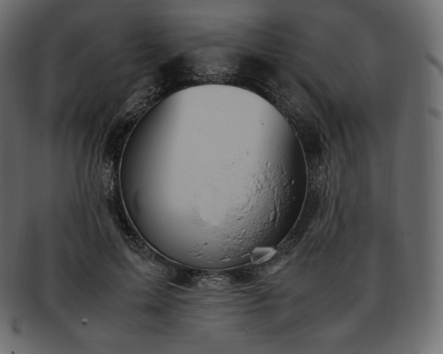 X0000093370599200710191117