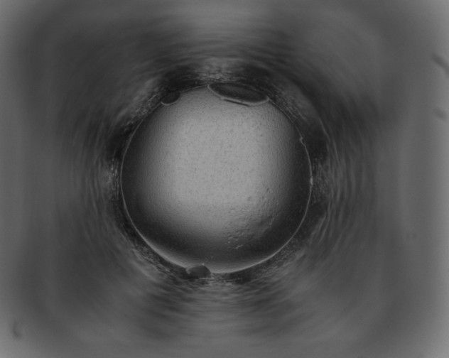 X0000093370601200710191117