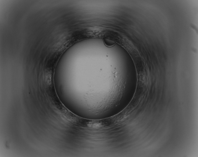 X0000093370602200710191117