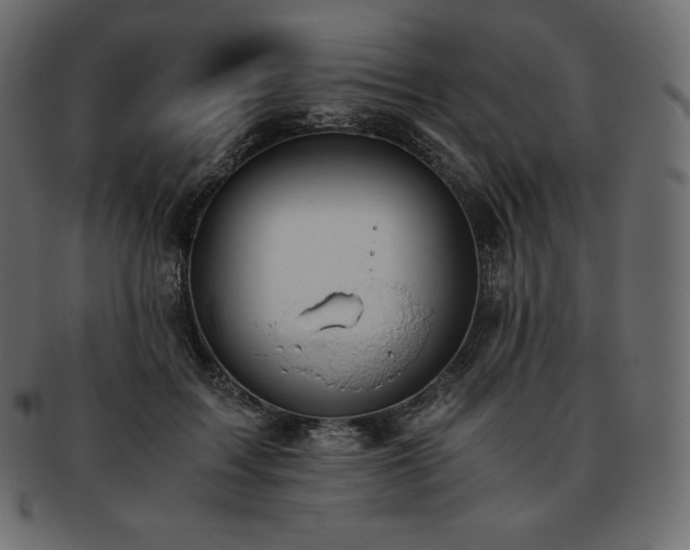 X0000093370603200710191117