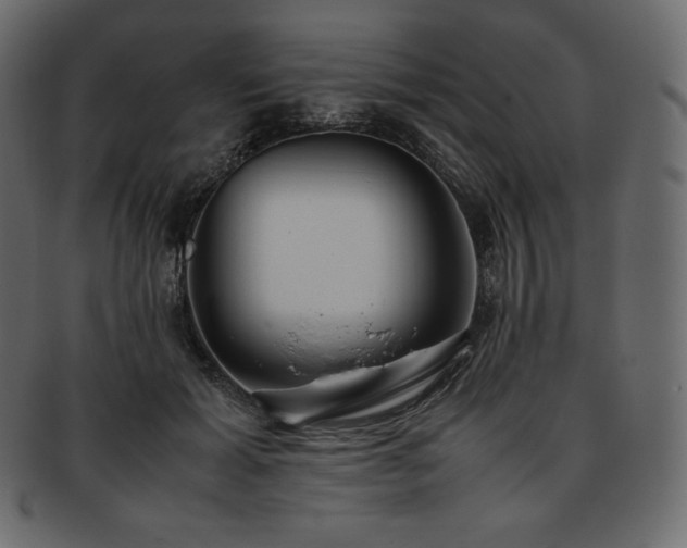 X0000093370605200710191117