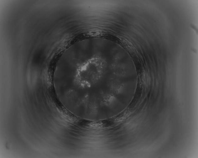 X0000093370606200710191117