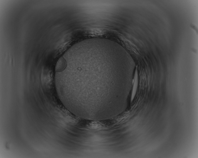 X0000093370608200710191117