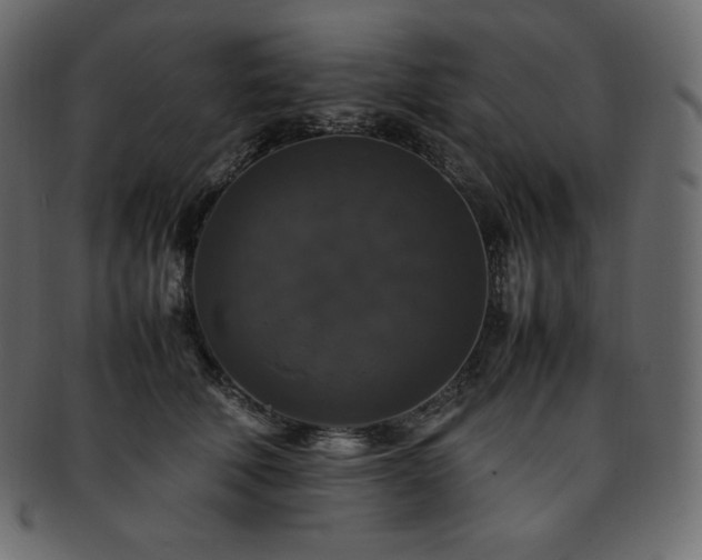 X0000093370610200710191117