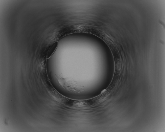 X0000093370611200710191117