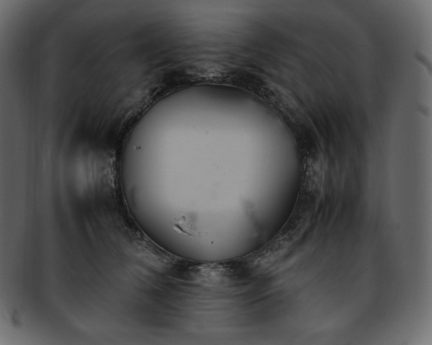 X0000093370612200710191117