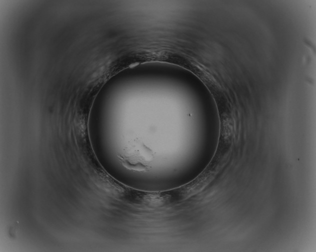 X0000093370613200710191117