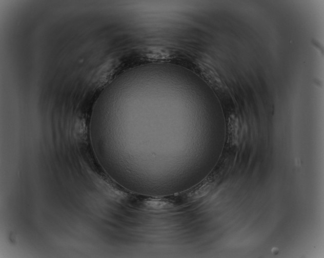 X0000093370614200710191117