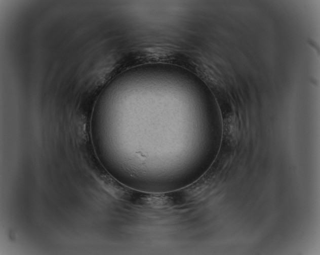 X0000093370615200710191117