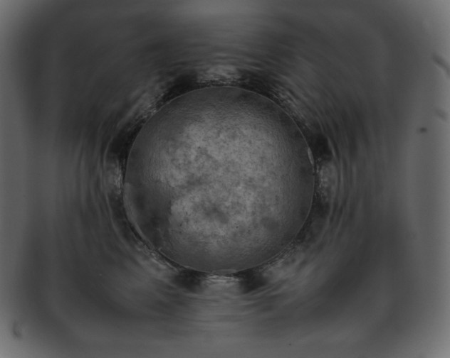 X0000093370617200710191117