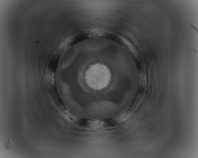 X0000093370621200710191117