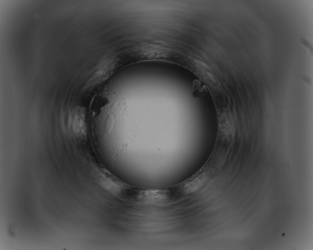 X0000093370622200710191117