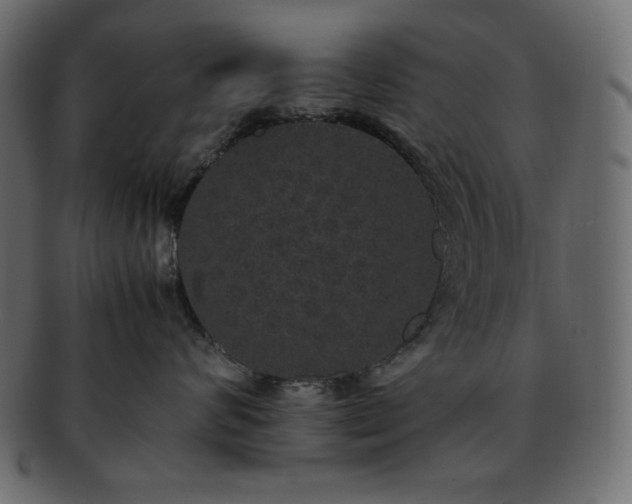 X0000093370624200710191117