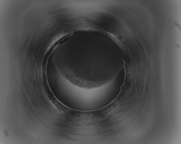 X0000093370626200710191116