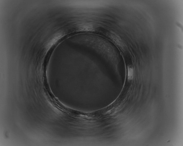 X0000093370627200710191116