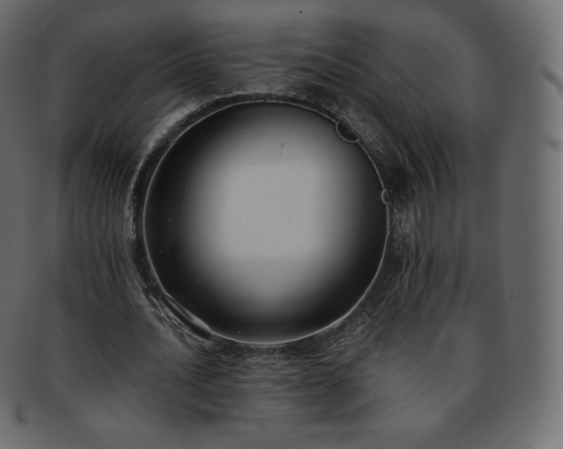 X0000093370628200710191116