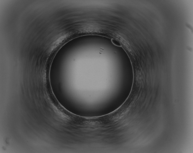 X0000093370629200710191116