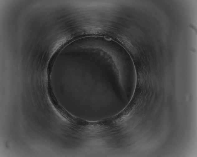 X0000093370630200710191116