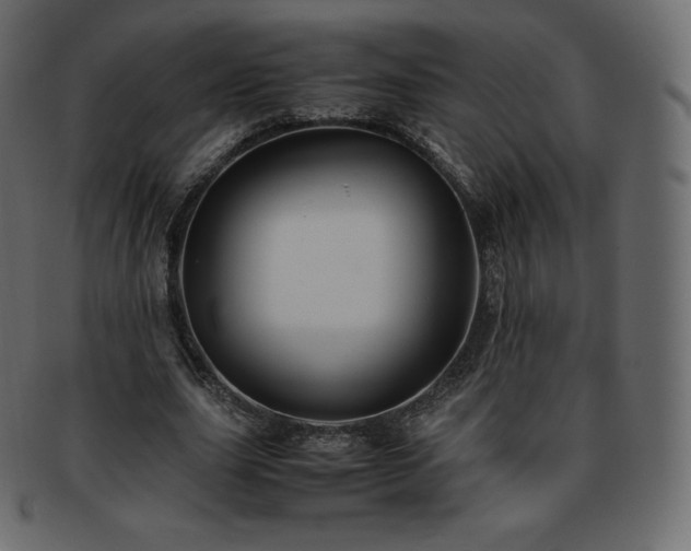 X0000093370631200710191116