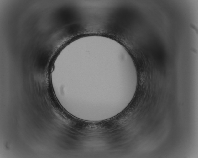 X0000093370632200710191116