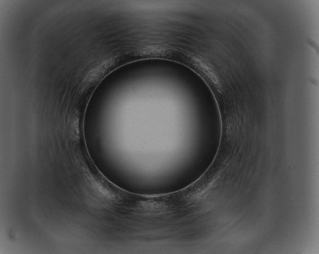 X0000093370633200710191116