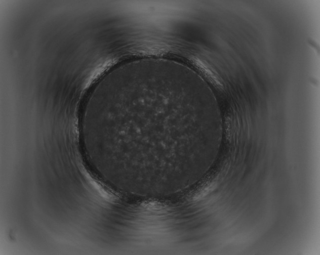 X0000093370634200710191116