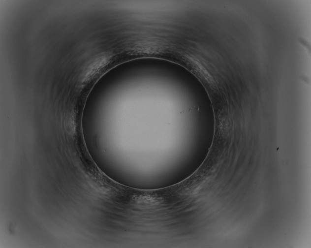 X0000093370635200710191116