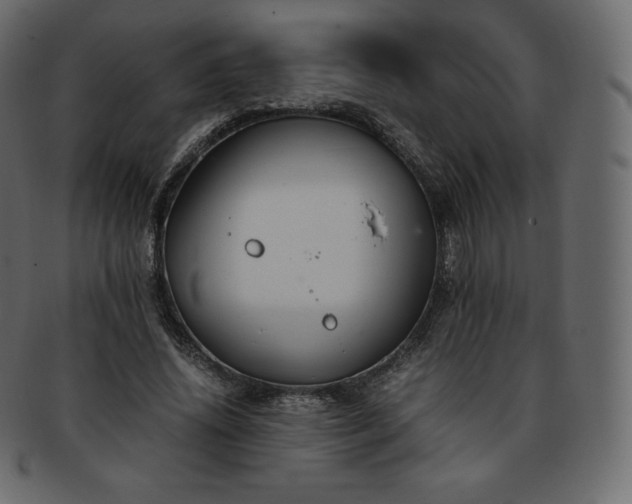 X0000093370636200710191116