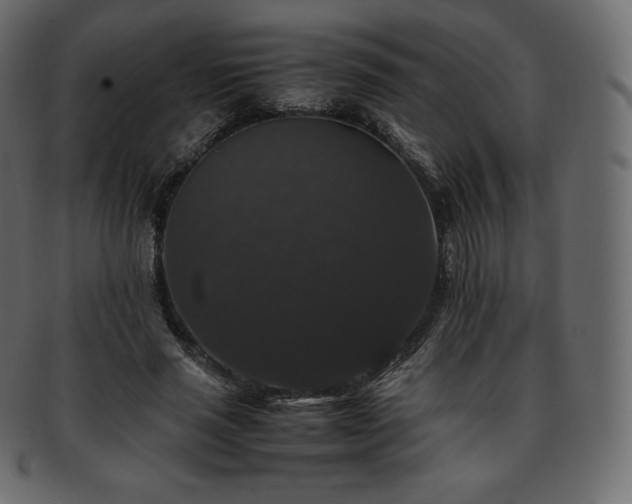 X0000093370637200710191116