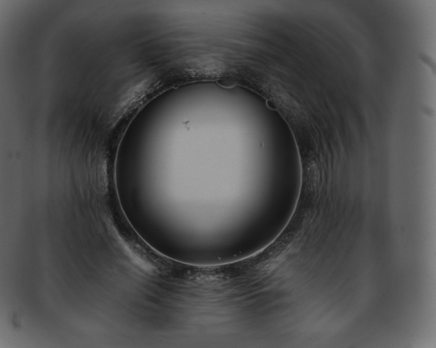 X0000093370638200710191116