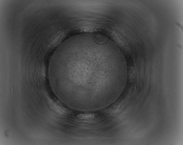 X0000093370639200710191116