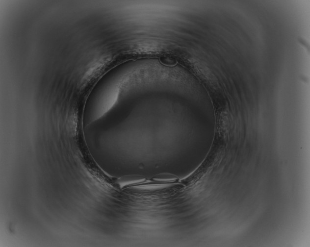 X0000093370640200710191116