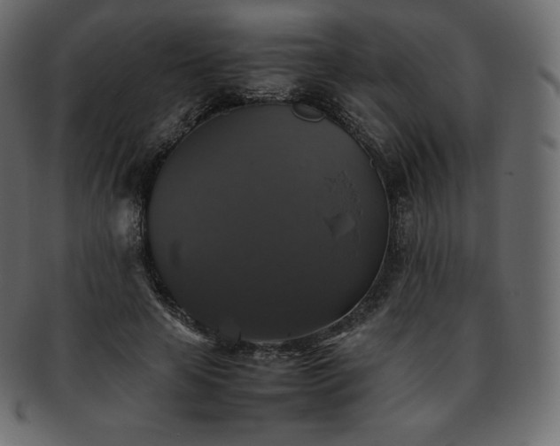 X0000093370641200710191116