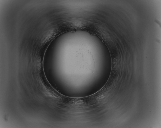 X0000093370642200710191116