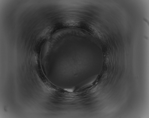 X0000093370643200710191116