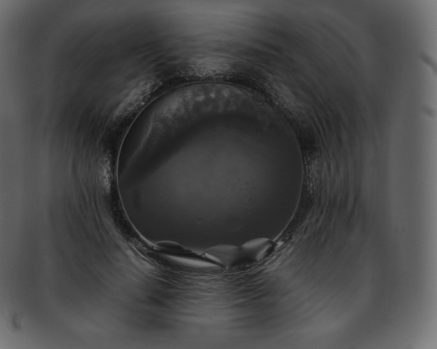 X0000093370644200710191116