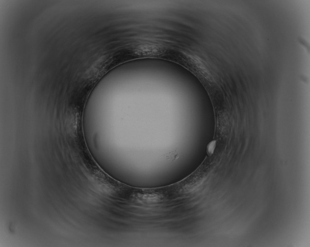 X0000093370645200710191117