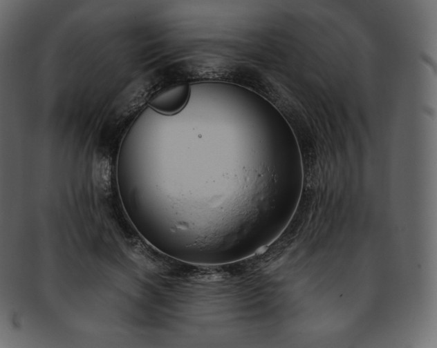 X0000093370646200710191117