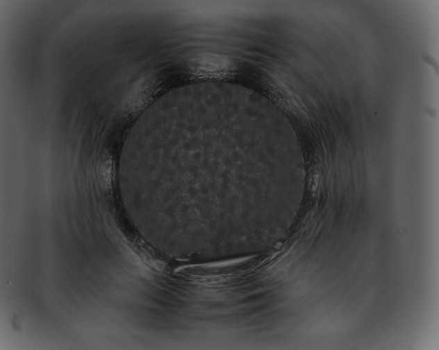 X0000093370647200710191117