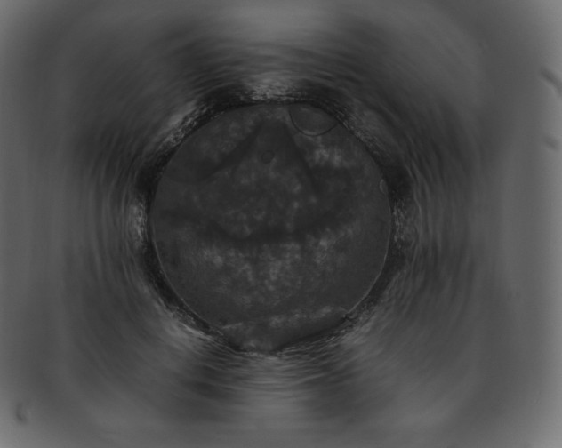 X0000093370648200710191117