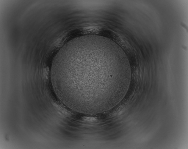 X0000093370649200710191117