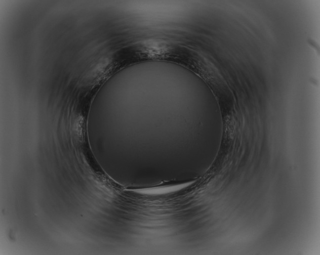 X0000093370650200710191117